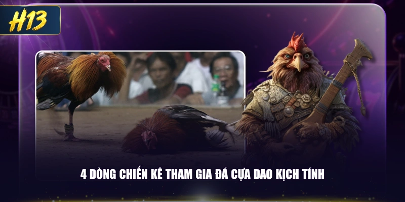 4 dòng chiến kê tham gia đá cựa dao kịch tính