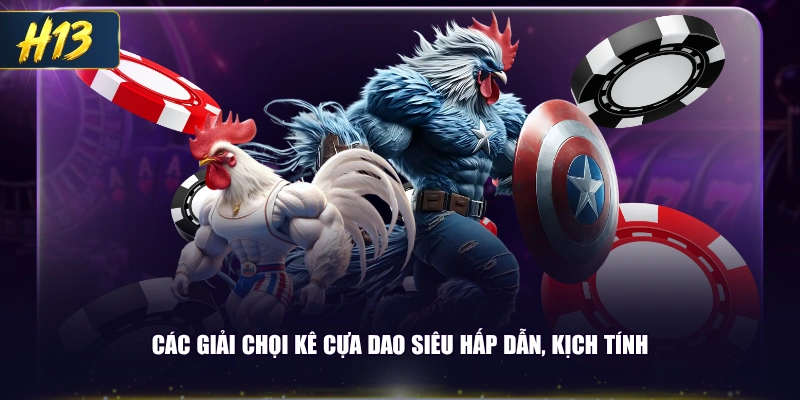 Các giải chọi kê cựa dao siêu hấp dẫn, kịch tính