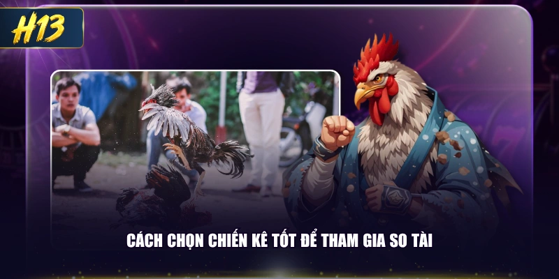 Cách chọn chiến kê tốt để tham gia so tài
