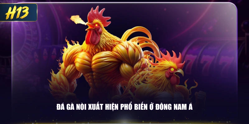 Đá gà nòi xuất hiện phổ biến ở Đông Nam Á