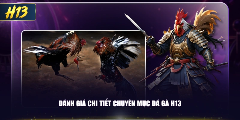 Đánh giá chi tiết chuyên mục đá gà H13