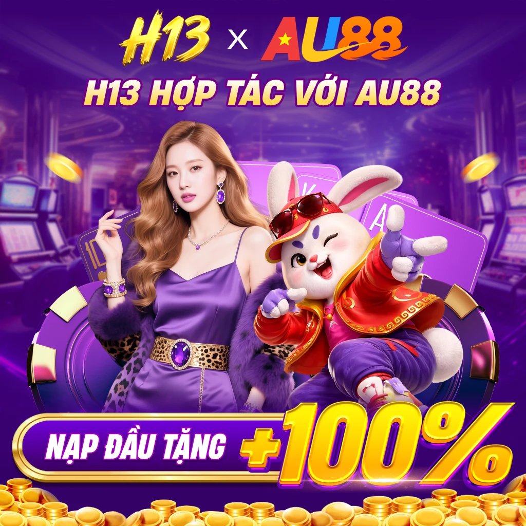 h13-mb-banner