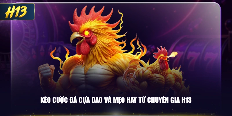 Kèo cược đá cựa dao và mẹo hay từ chuyên gia H13