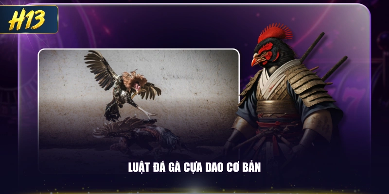 Luật đá gà cựa dao cơ bản