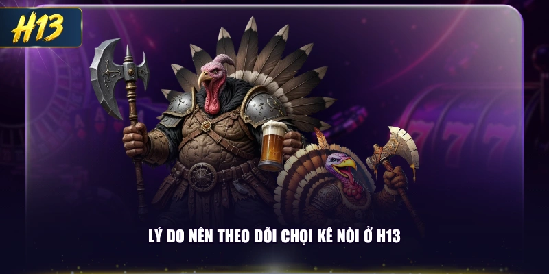 Lý do nên theo dõi chọi kê nòi ở H13