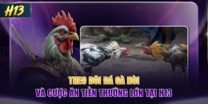 Theo Dõi Đá Gà Nòi Và Cược Ăn Tiền Thưởng Lớn Tại H13